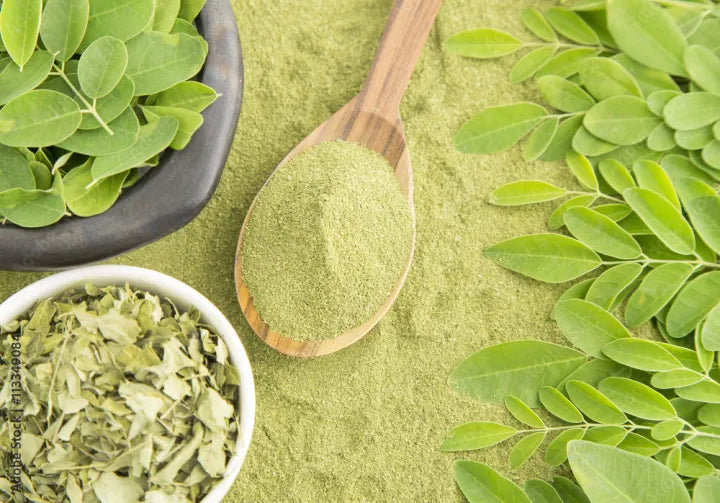 Herbals 100 Moringa Capsules | Plant of Century